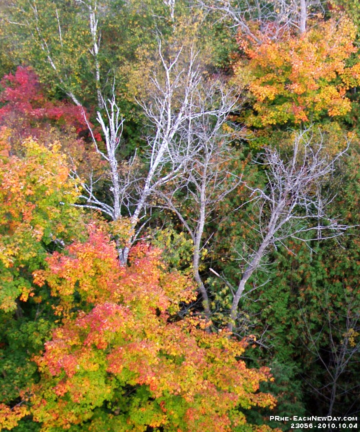 23056RoCrLeSh c - Autumn colours from the Taunton Road bridge over Duffins Creek